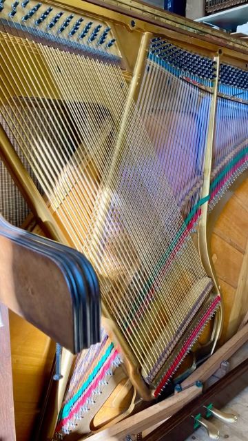 ✨ Le piano est très réactif ✨ Je peux faire des nuances incroyables ✨ Les aigus, c’est le bonheur ! C’est cristallin, ça chante ! ✨ Le piano a gardé son timbre chaud ✨
.
Un petit extrait de l’engouement de cette pianiste qui vient de retrouver son instrument après une restauration complète dans notre atelier 😊
.
.
Un grand merci à @hellerbass pour le jeu de cordes basses filées en laiton (au lieu du cuivre habituel). 
C’était une première expérience pour nous et nous sommes ravis du résultat, tant visuel que sonore !!!

.

#piano #pianostrings #restaurationdepiano #pianorestoration #pianorestorer #restaurationdupatrimoine #klavierrestaurierung #metiersdart #artisanat #savoirfaire #patience #cotedor #hautemarne #hautesaone #bourgognefranchecomte