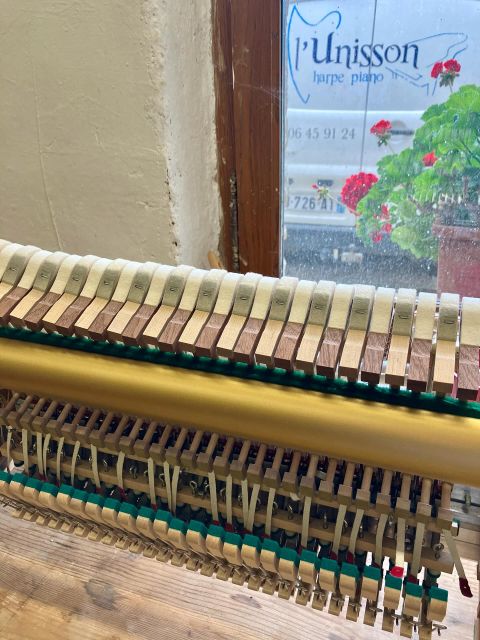 Installer des têtes de marteaux BECHSTEIN sur un piano YAMAHA 😮🫣 
Optimisation ou hérésie ???
.
A la suite de notre expérience, nous le voyons comme une bonification 🤗 
.
.
On s’explique : 
Les pianos YAMAHA sont très fiables structurellement et mécaniquement. Ce sont des instruments de travail très robustes, avec une bonne sonorité. Cependant, particulièrement sur les pianos droits, nous la trouvons toujours un peu trop claire ou métallique…
.
Alors, en atelier, on a tenté… 
De remplacer les têtes de marteaux YAMAHA par du BECHSTEIN, cette grande manufacture allemande qu’on ne présente plus…
.
Et bien, les têtes BECHSTEIN, sélectionnées puis percées avec une immense précision par @fj_vincent apportent la sonorité allemande que nous aimons tant 🥰
.
C’est un combo gagnant selon nous !!! 
Un son rond et chaleureux sur un piano fiable avec une mécanique réactive. 
Que demander de plus ? 😊

.
Plus de détails sur : 
https://lunisson.fr/14126/piano-marteaux-bechstein/
.

@yamahapianosofficial @bechstein.official 
#piano #optimisation #yamahapiano #pianoyamaha #bechsteinpiano #pianobechstein #technicienpiano #pianotechnician #pianorestoration #restaurationdepianos #pianorepair #dijon #vesoul #chaumont #cotedor #hautesaone #hautemarne #bourgognefranchecomte