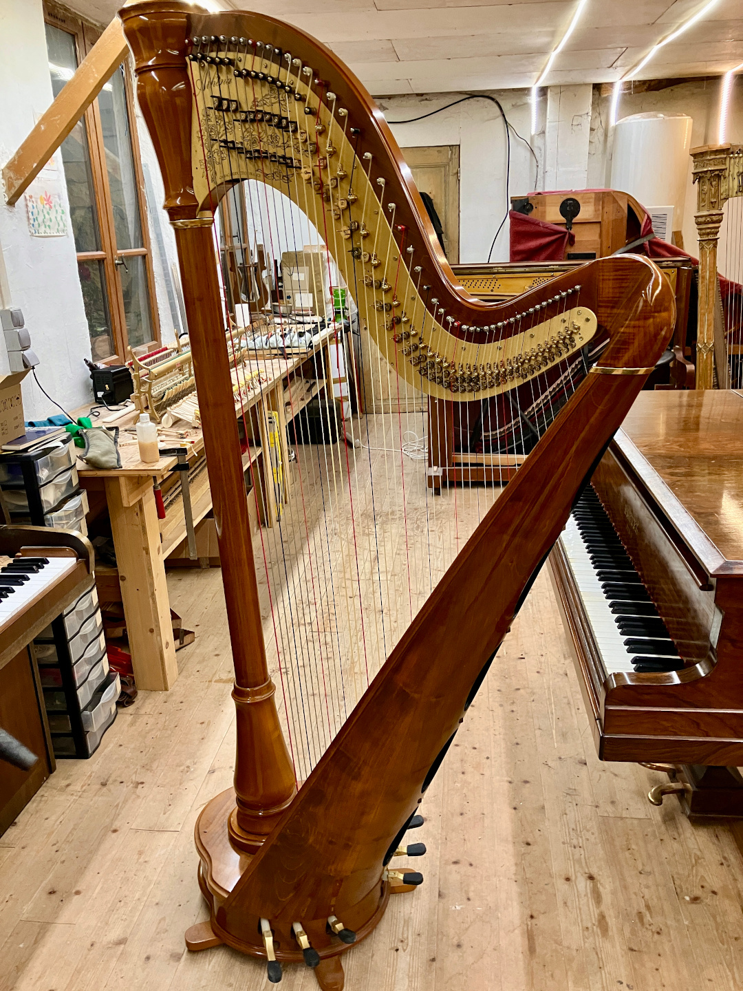 Location harpe Camac