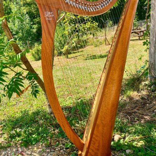location harpe Camac