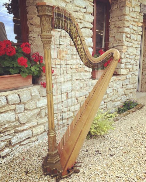 120 € TTC/mois en location
9100 € TTC à l'achat