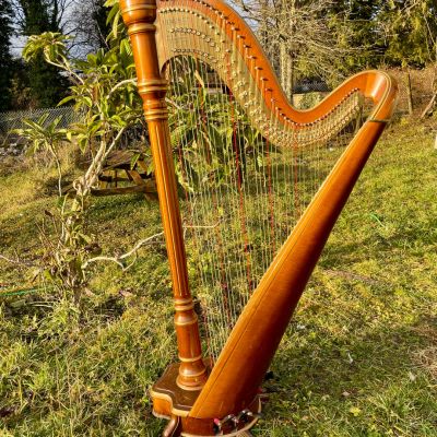 harpe 46 cordes occasion