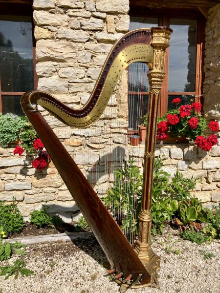 harpe 47 cordes