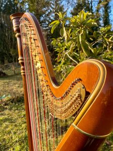 harpe classique occasion