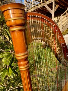 occasion harpe à pédales